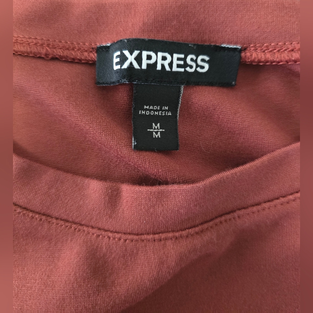 Express Twist-Front Rust/Brick Red Ruched Bodysuit - Picture 5 of 9
